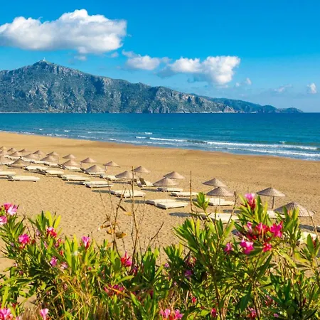 Exclusive Paradise 1 Willa *